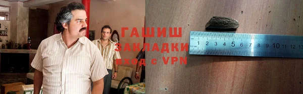 гидра Елизово