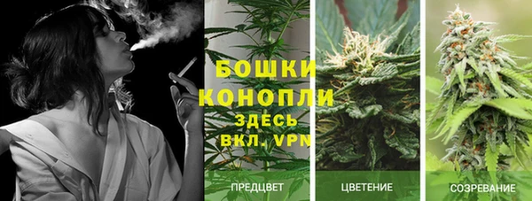 трава Алексин